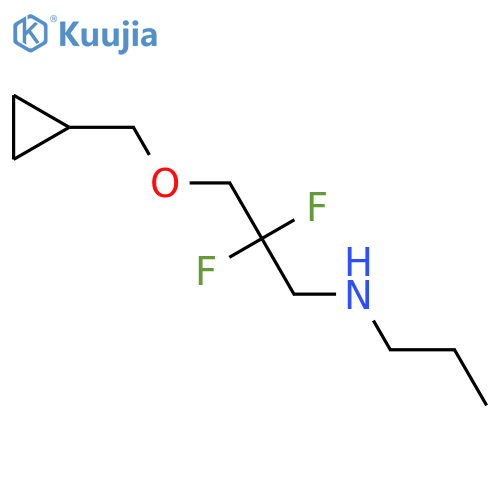 3-(cyclopropylmethoxy)-2,2-difluoro-N-propylpropan-1-amine structure