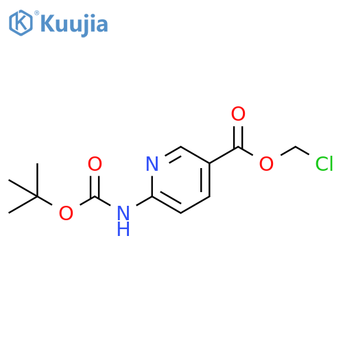 3-Pyridinecarboxylic acid, 6-[[(1,1-dimethylethoxy)carbonyl]amino]-, chloromethyl ester structure