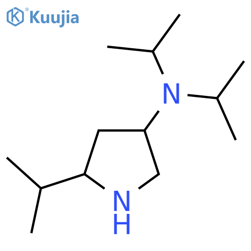 N,N,5-tris(propan-2-yl)pyrrolidin-3-amine structure
