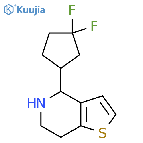 4-(3,3-difluorocyclopentyl)-4H,5H,6H,7H-thieno3,2-cpyridine structure