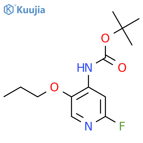 tert-butyl N-(2-fluoro-5-propoxypyridin-4-yl)carbamate structure