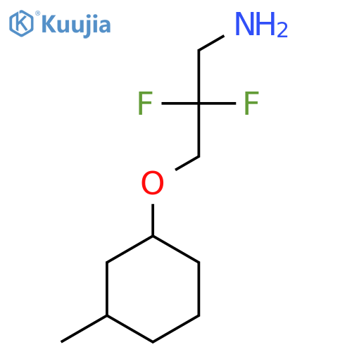 2,2-Difluoro-3-(3-methylcyclohexyl)oxypropan-1-amine structure
