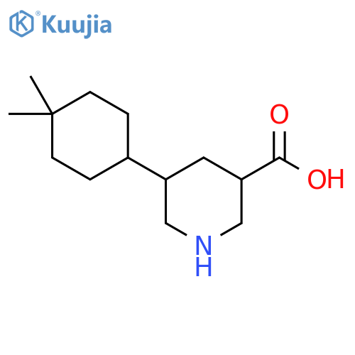 5-(4,4-Dimethylcyclohexyl)piperidine-3-carboxylic acid structure
