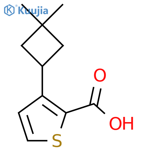 3-(3,3-Dimethylcyclobutyl)thiophene-2-carboxylic acid structure