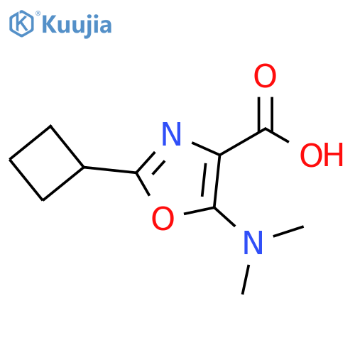 4-Oxazolecarboxylic acid, 2-cyclobutyl-5-(dimethylamino)- structure
