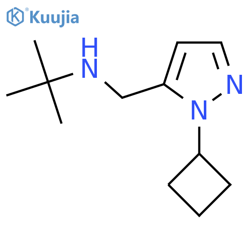 tert-butyl[(1-cyclobutyl-1H-pyrazol-5-yl)methyl]amine structure