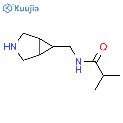 N-({3-azabicyclo[3.1.0]hexan-6-yl}methyl)-2-methylpropanamide structure