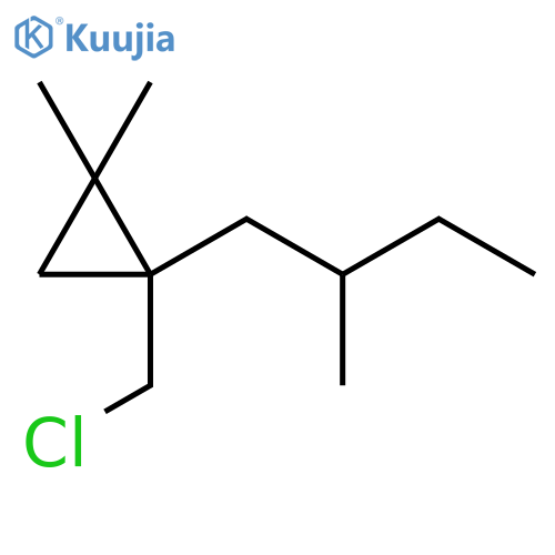 Cyclopropane, 1-(chloromethyl)-2,2-dimethyl-1-(2-methylbutyl)- structure
