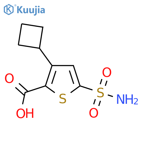 3-Cyclobutyl-5-sulfamoylthiophene-2-carboxylic acid structure