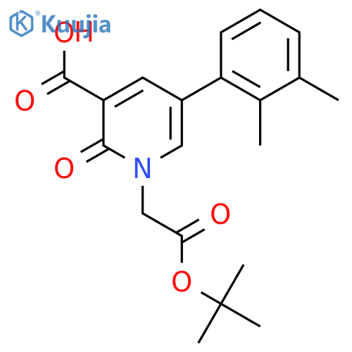 1-[2-(Tert-butoxy)-2-oxoethyl]-5-(2,3-dimethylphenyl)-2-oxo-1,2-dihydropyridine-3-carboxylic acid structure