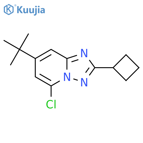 7-tert-butyl-5-chloro-2-cyclobutyl-1,2,4triazolo1,5-apyridine structure