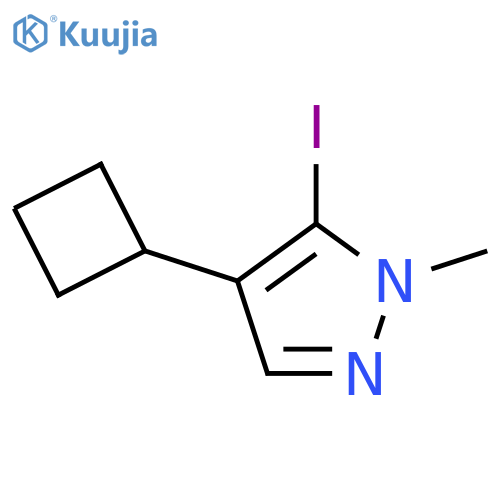 1H-Pyrazole, 4-cyclobutyl-5-iodo-1-methyl- structure