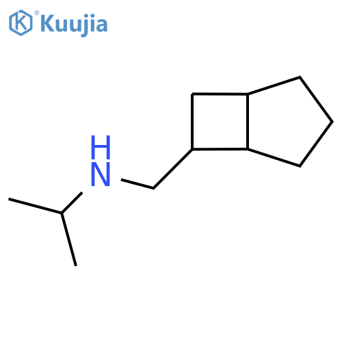 ({bicyclo3.2.0heptan-6-yl}methyl)(propan-2-yl)amine structure