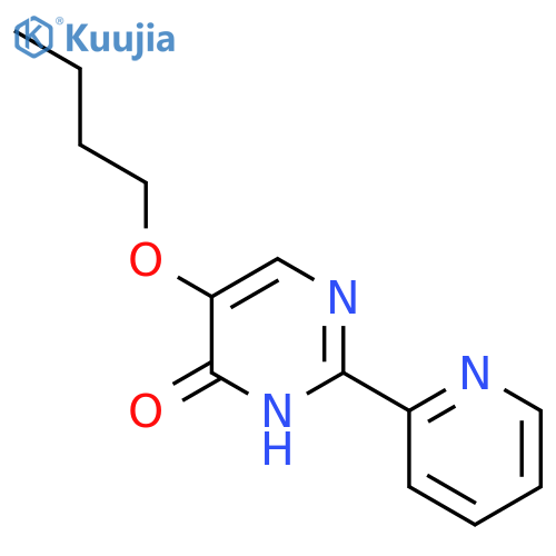 5-Butoxy-2-(pyridin-2-yl)-1,4-dihydropyrimidin-4-one structure