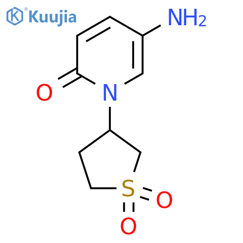 3-(5-Amino-2-oxo-1,2-dihydropyridin-1-yl)-1lambda6-thiolane-1,1-dione structure