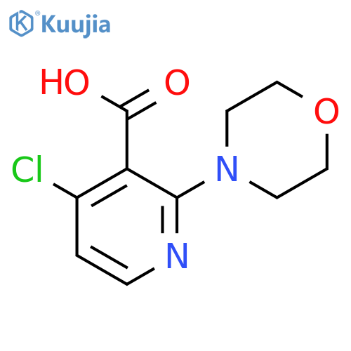 4-chloro-2-(morpholin-4-yl)pyridine-3-carboxylic acid structure