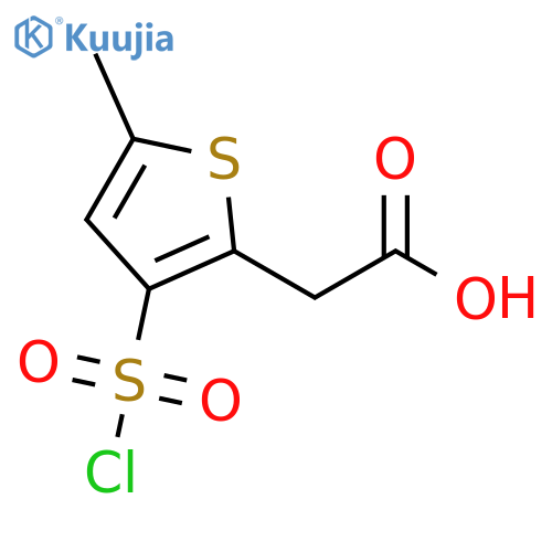 2-Thiopheneacetic acid, 3-(chlorosulfonyl)-5-methyl- structure