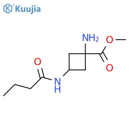 Methyl 1-amino-3-butanamidocyclobutane-1-carboxylate structure