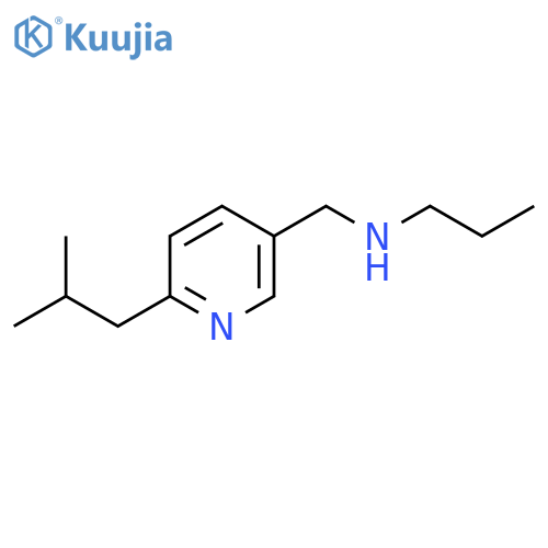 {[6-(2-Methylpropyl)pyridin-3-yl]methyl}(propyl)amine structure