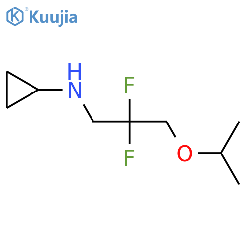 N-[2,2-difluoro-3-(propan-2-yloxy)propyl]cyclopropanamine structure