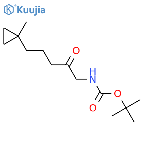 tert-butyl N-[5-(1-methylcyclopropyl)-2-oxopentyl]carbamate structure