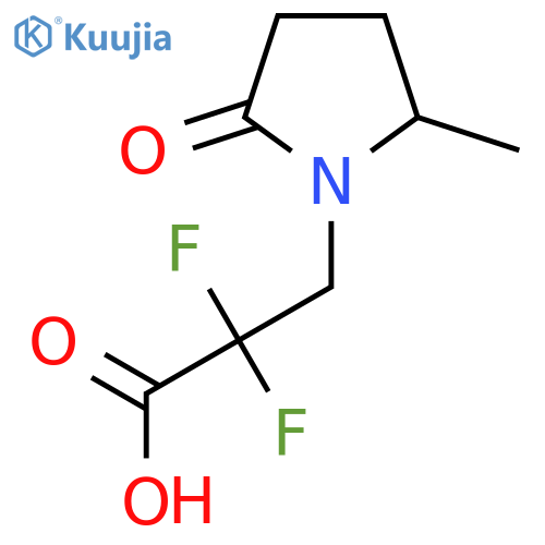 2,2-Difluoro-3-(2-methyl-5-oxopyrrolidin-1-yl)propanoic acid structure