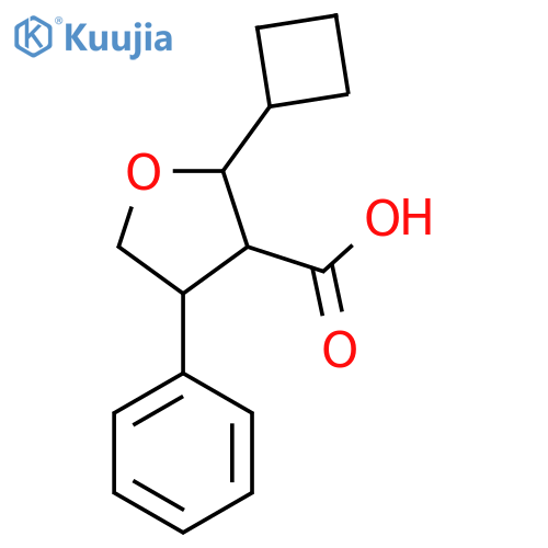 2-cyclobutyl-4-phenyloxolane-3-carboxylic acid structure