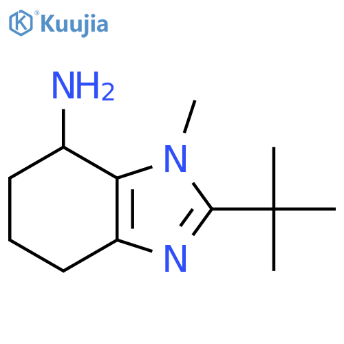 2-tert-butyl-1-methyl-4,5,6,7-tetrahydro-1H-1,3-benzodiazol-7-amine structure