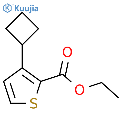 Ethyl 3-cyclobutylthiophene-2-carboxylate structure