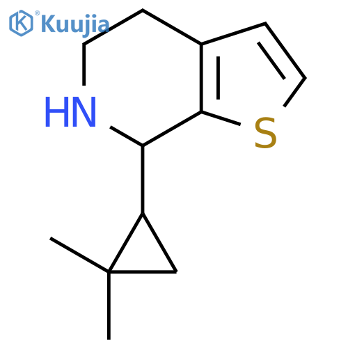 7-(2,2-dimethylcyclopropyl)-4H,5H,6H,7H-thieno2,3-cpyridine structure