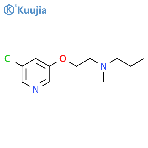 {2-[(5-Chloropyridin-3-yl)oxy]ethyl}(methyl)propylamine structure