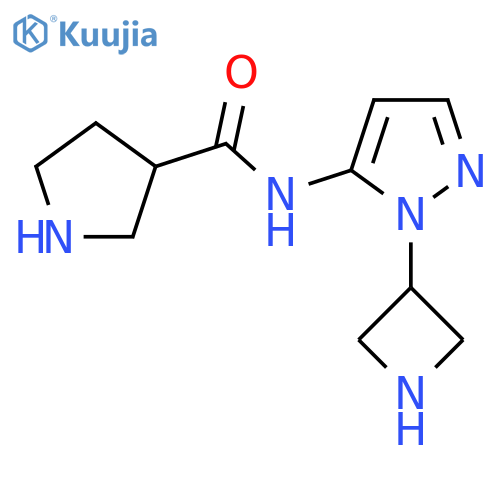 N-1-(azetidin-3-yl)-1H-pyrazol-5-ylpyrrolidine-3-carboxamide structure