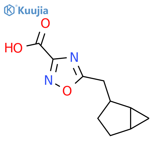 5-({bicyclo3.1.0hexan-2-yl}methyl)-1,2,4-oxadiazole-3-carboxylic acid structure