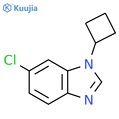 6-chloro-1-cyclobutyl-1H-1,3-benzodiazole structure