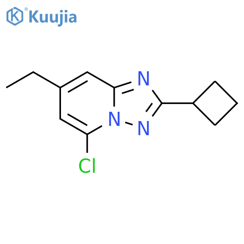 5-chloro-2-cyclobutyl-7-ethyl-1,2,4triazolo1,5-apyridine structure