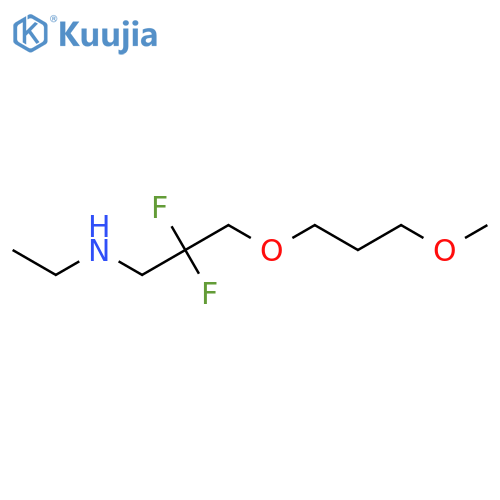 N-ethyl-2,2-difluoro-3-(3-methoxypropoxy)propan-1-amine structure