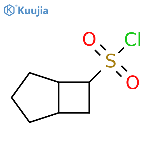 bicyclo[3.2.0]heptane-6-sulfonyl chloride, Mixture of diastereomers structure