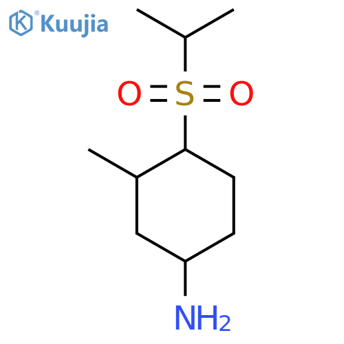 3-Methyl-4-(propane-2-sulfonyl)cyclohexan-1-amine structure