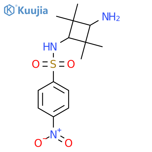 N-(3-amino-2,2,4,4-tetramethylcyclobutyl)-4-nitrobenzene-1-sulfonamide structure