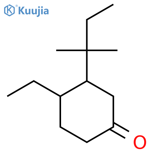 4-Ethyl-3-(2-methylbutan-2-yl)cyclohexan-1-one structure