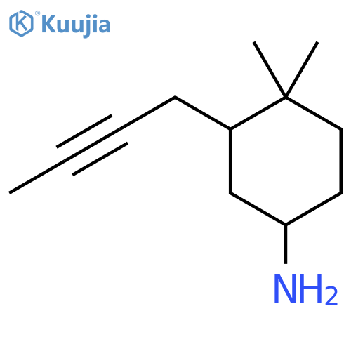 3-(But-2-yn-1-yl)-4,4-dimethylcyclohexan-1-amine structure