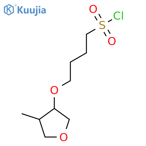 4-(4-methyloxolan-3-yl)oxybutane-1-sulfonyl chloride structure