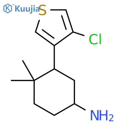 3-(4-Chlorothiophen-3-yl)-4,4-dimethylcyclohexan-1-amine structure