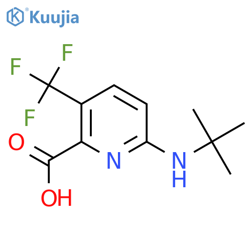 6-(Tert-butylamino)-3-(trifluoromethyl)pyridine-2-carboxylic acid structure