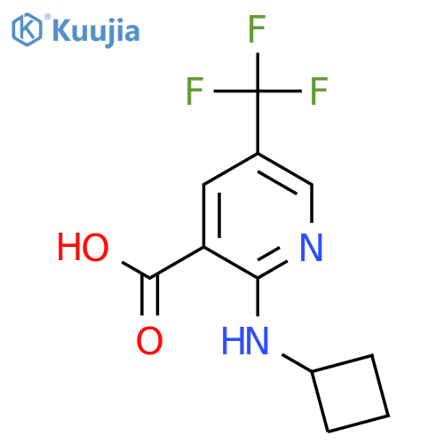2-(cyclobutylamino)-5-(trifluoromethyl)pyridine-3-carboxylic acid structure