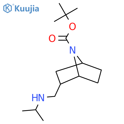 tert-butyl 2-{(propan-2-yl)aminomethyl}-7-azabicyclo2.2.1heptane-7-carboxylate structure