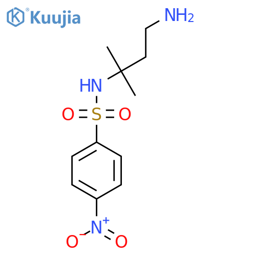 N-(4-amino-2-methylbutan-2-yl)-4-nitrobenzene-1-sulfonamide structure