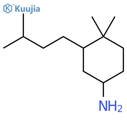 4,4-Dimethyl-3-(3-methylbutyl)cyclohexan-1-amine structure