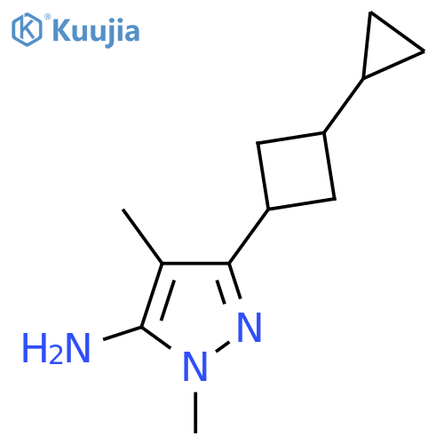 3-(3-cyclopropylcyclobutyl)-1,4-dimethyl-1H-pyrazol-5-amine structure