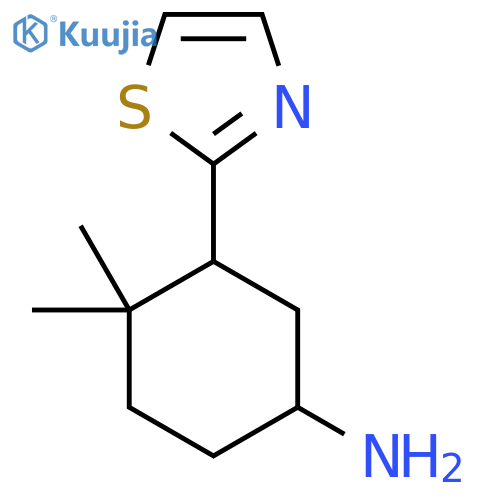 4,4-Dimethyl-3-(1,3-thiazol-2-yl)cyclohexan-1-amine structure